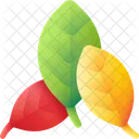 Leaves Nature Green Icon