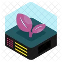 Leaf Fresh Plant Icon