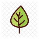 Leaves Nature Spring Icon