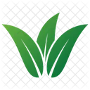 Leaves Logo Vector Leaves Logo Eco Leaves Icon