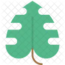 Leaves Leaf Green Leaf Icon