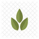 Leaves Nature Plant Icon