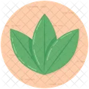 Leaves Leaflet Botany Icon