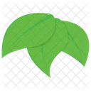 Leaves Plant Nature Icon