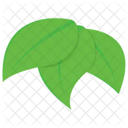 Leaves  Icon