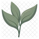 Leaves Ecology Nature Icon