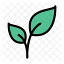 Leaves Green Nature Icon