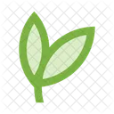 Leaves Branch Icon