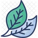 Leaves Plants Green Icon
