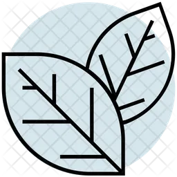 Leaves  Icon