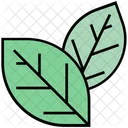 Summer Leaves Green Icon