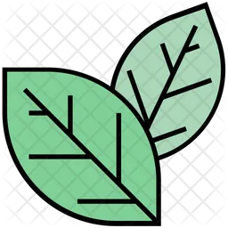 Leaves  Icon