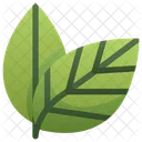 Leaves Two Leaf Icon