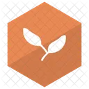Leaves Ecology Green Icon