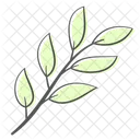 Leaves Branch Plant Icon