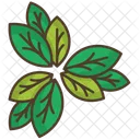 Leaves Thicket Nature Icon