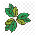 Leaves Thicket Icon