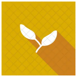 Leaves  Icon