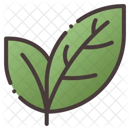 Leaves  Icon