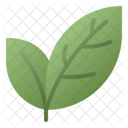 Leaves  Icon