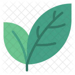 Leaves  Icon