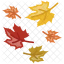Autumn Fall Leaves Icon
