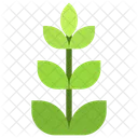 Leaves  Icon