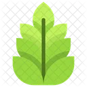 Leaves  Icon