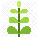 Leaves  Icon