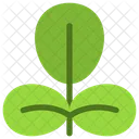 Leaves  Icon