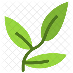 Leaves  Icon