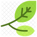 Leaves  Icon