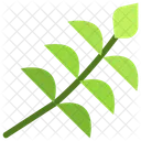 Leaves  Icon