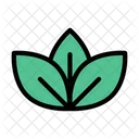 Leaves Leaf Green Icon