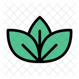 Leaves  Icon