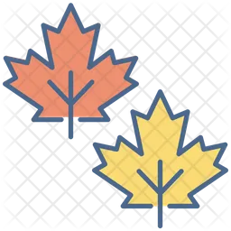 Leaves  Icon