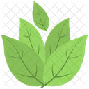Leaves Greenery Foliage Icon