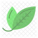 Leaves Plant Rice Leaf Icon