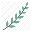 Leaves  Icon