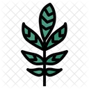 Leaves  Icon