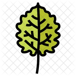 Leaves  Icon