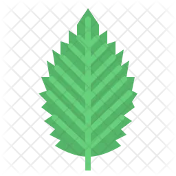 Leaves  Icon