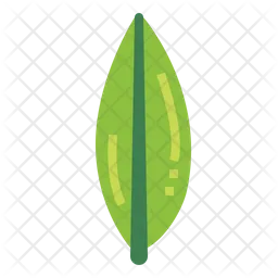 Leaves  Icon