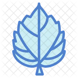 Leaves  Icon