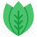 Leaves Leaflets Ecology Icon