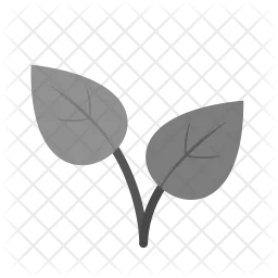 Leaves  Icon