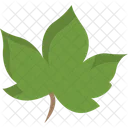 Leaves Nature Green Icon