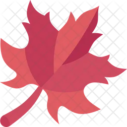 Leaves  Icon