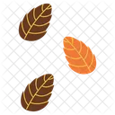 Leaves Autumn Fall Icon
