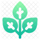 Leaves Branch Plant Icon